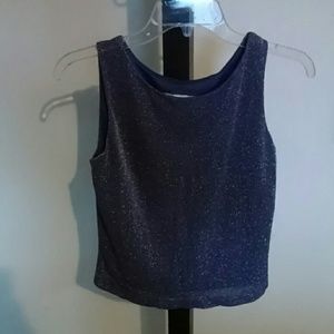 Glittery purple blouse